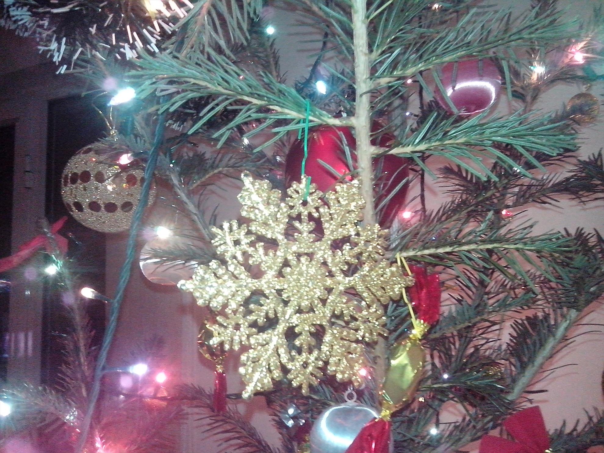 in asteptarea mosului - img201312212057111641342174.jpg